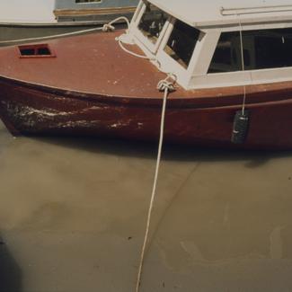 Zagađenje; ispust Mljekare u more