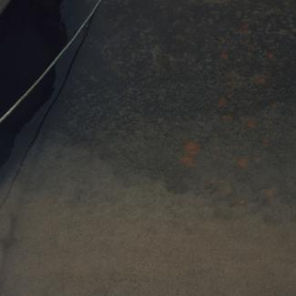 Zagađenje mra od ispusta Mljekare