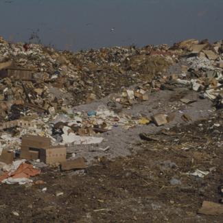 Gr. dep.; nakupine smeća; lijevo na horizontu jato galebova u grupi