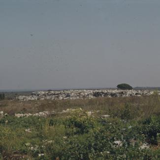 Smeće u hrpi okruženo zelenilom, Gradski dep.; bor u pozadini