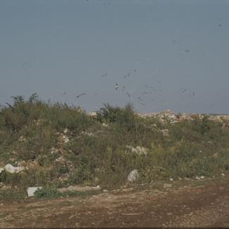 Gradski deponij gledano s ceste