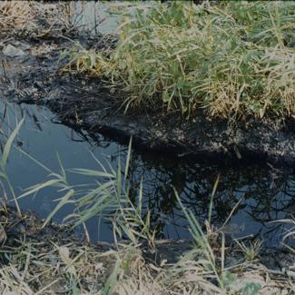 Ispusni kanal ispred 