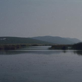Vransko jezero - trska na sj-zap dijelu