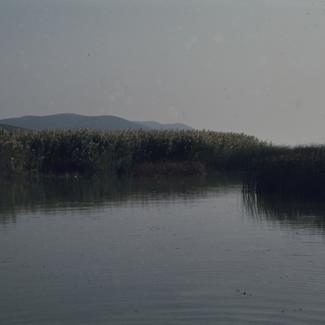 Vransko jezero