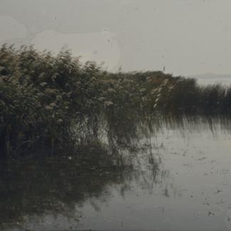 Vransko jezero - s kopna ispred pumpne stanice