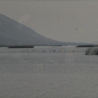 Vransko jezero iz broda prema istoku