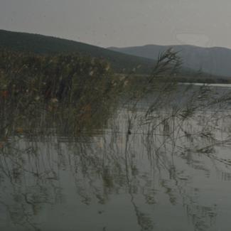 Vransko jezero - jezero kroz trsku