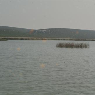 Vransko jezero - prema sjeveru