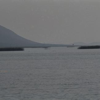 Otoci traska u podnožju brda - Vransko jezero