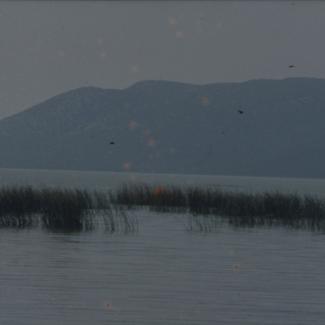 Vransko jezero istisnuto u vodi