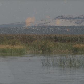 Vransko jezero - sjev-zap. Dio; kroz trsku prema brijegu