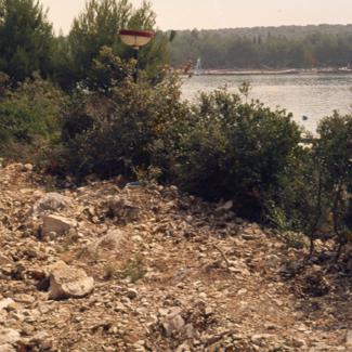 Makija i borovi pored mora, dio iskrčenog koridora zbog izgradnje vodov. I kanal.