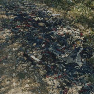 Deponij uz put ispred tv. 