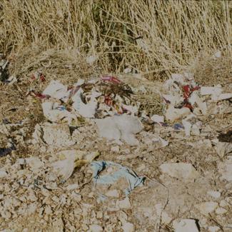 Otpad pored trske uz Zrmanju ispred 