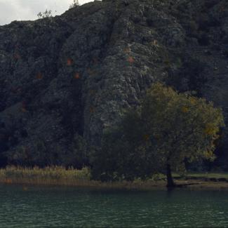 U kanjonu Zrmanje pašnjak pored vode iznad Obrovca