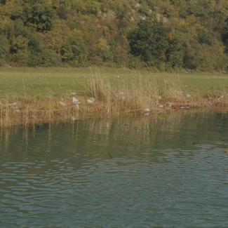 Zagađenje otpacima plastike na Zrmanji
