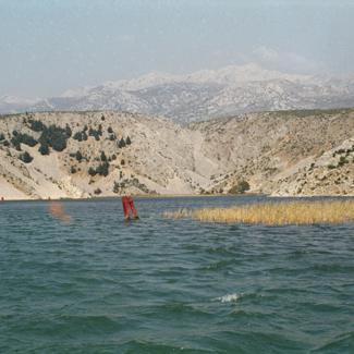 U kanjonu Zrmanje pašnjak pored vode iznad Obrovca