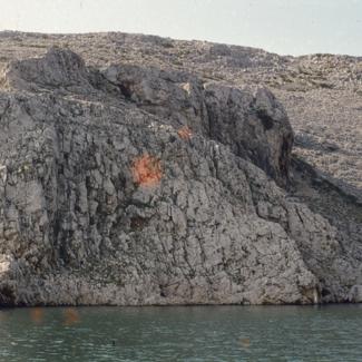 U Zdrilu desna obala