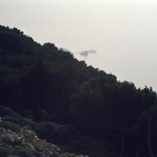 Šuma na Sestricama; pogled na svjetionik Tajer