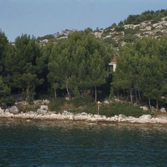 Uvala Magrovica; u šumici kuće s crvenim krovom (šveđanin)