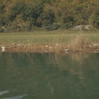 Otpad plastike i ostalog smeća u trski uz rijeku odmah ispod naselja-nizvodno od mosta