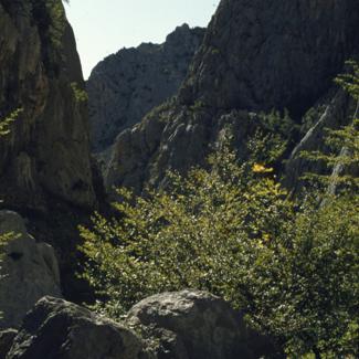 U proboju V. Paklenice