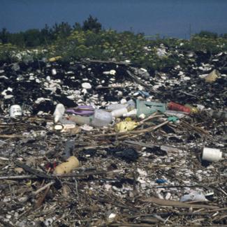 Plaža zagađena mazutom i plastikom