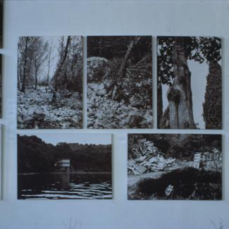 Problem zelenih površina i divlja izgradnja