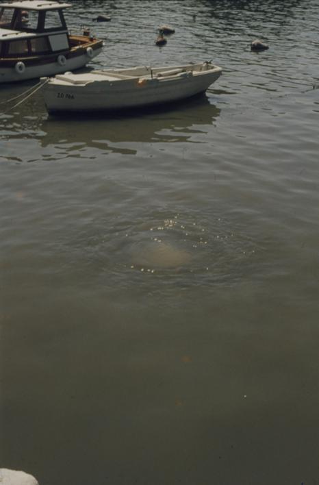 Ispustni kanal B. Kidriča ispred tvornice