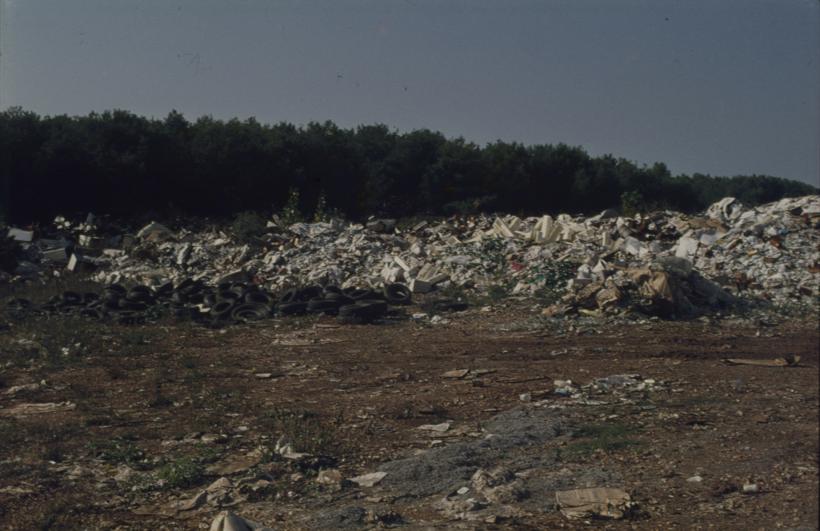 Gr. dep. - smeće pored borove šume