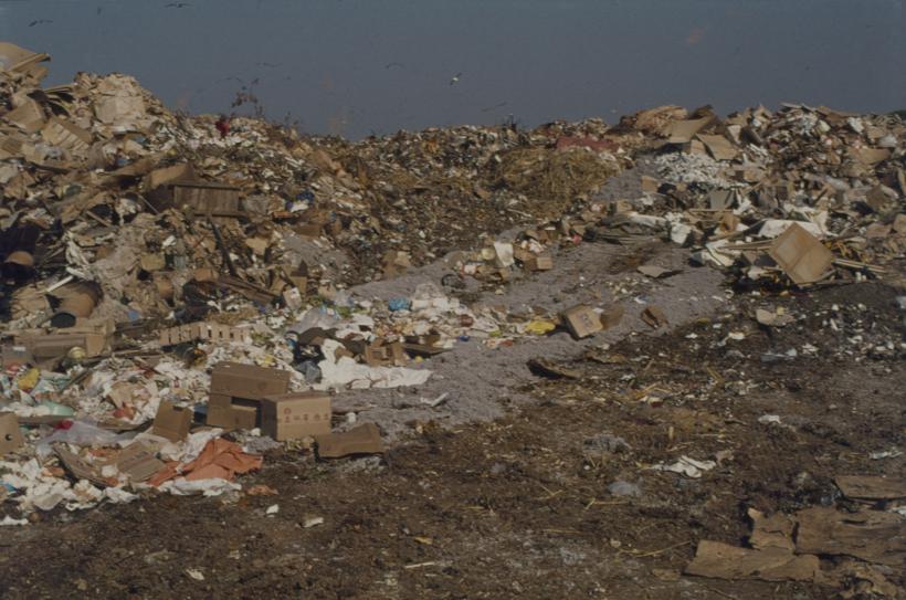 Gr. dep.; nakupine smeća; lijevo na horizontu jato galebova u grupi