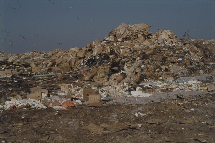 Nakupine smeća; desno formira brijeg; gradsk. deponij; galebovi