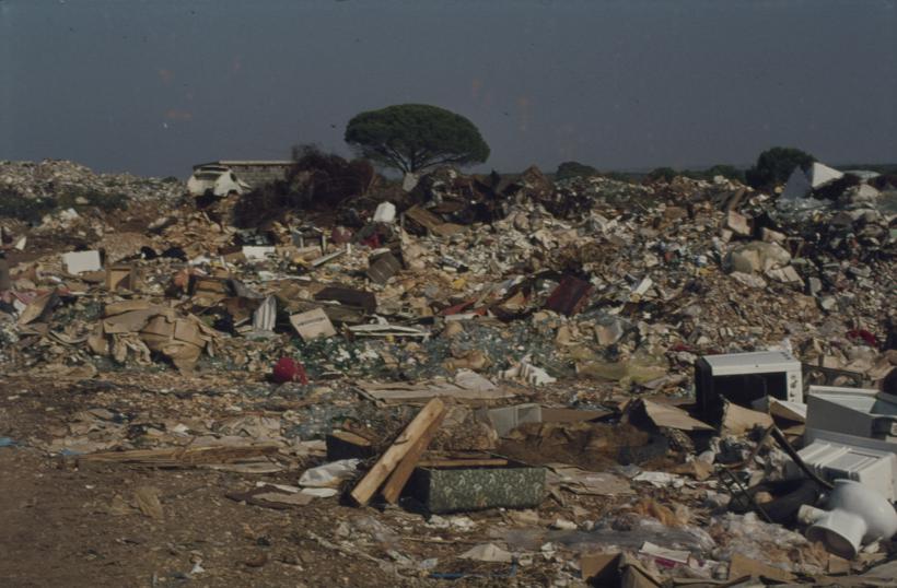 Bor okružen nakupinama smeća Gradski deponij