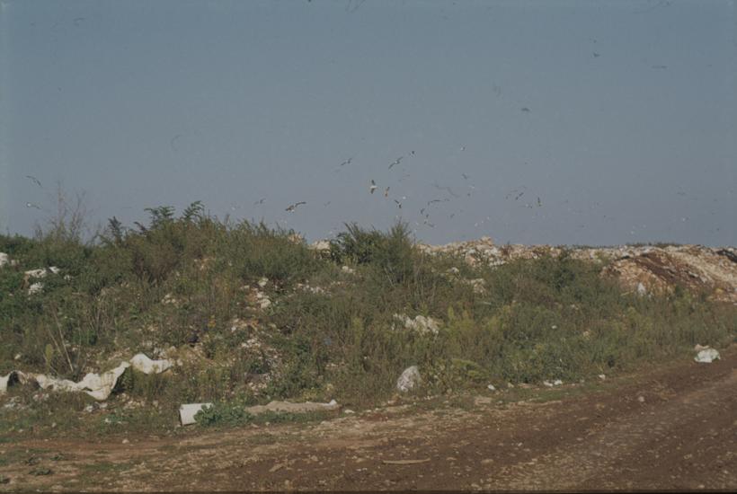 Gradski deponij gledano s ceste