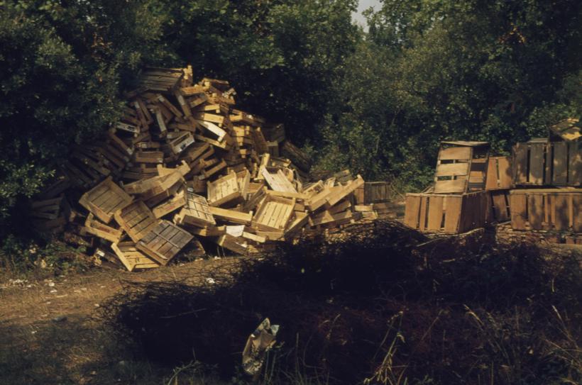 Ambalaža pored šume