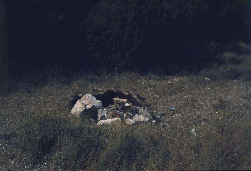 Ložište pored šume