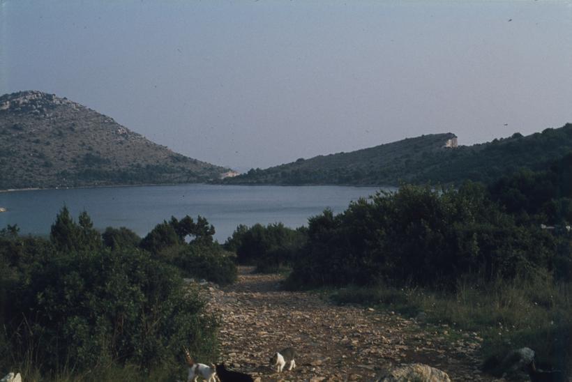 Jezero Mir