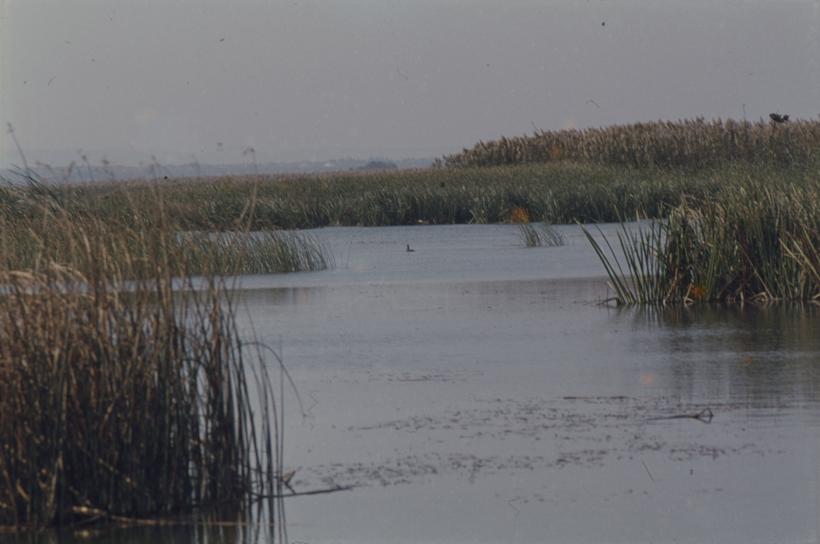 Vransko jezero - gledano prema zap.