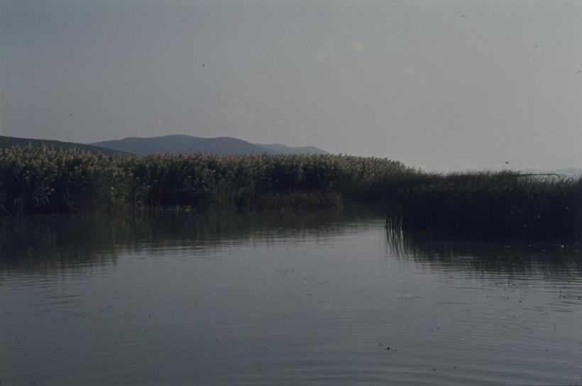 Vransko jezero