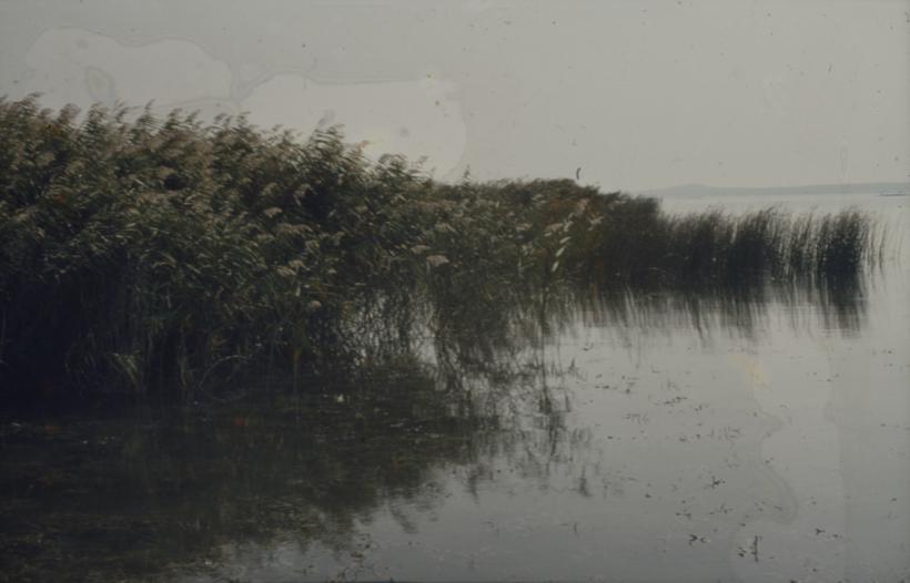 Vransko jezero - s kopna ispred pumpne stanice