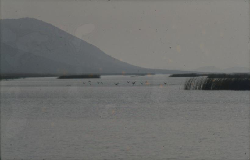 Vransko jezero iz broda prema istoku