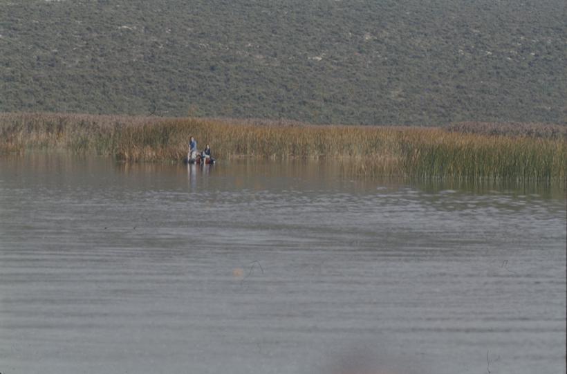 Vransko jezero - ribići u trsci