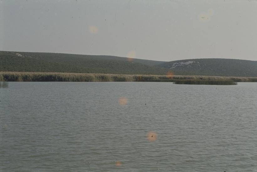 Vransko jezero