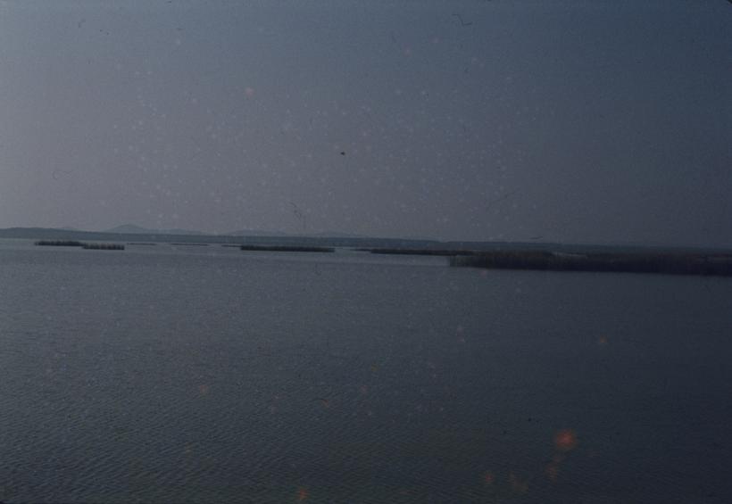 Trska u daljini - Vransko jezero