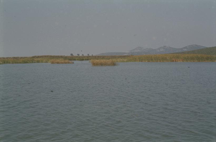 Trska Vranskog jezera - pogled prema poljoprivrednom dobru Vrana