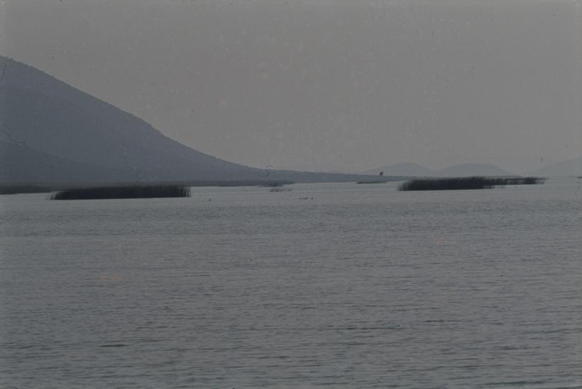 Otoci traska u podnožju brda - Vransko jezero