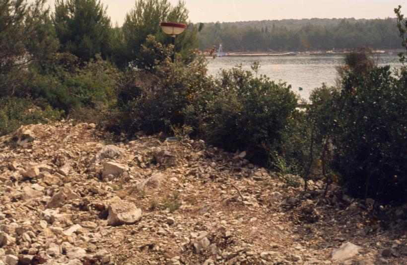 Makija i borovi pored mora, dio iskrčenog koridora zbog izgradnje vodov. I kanal.