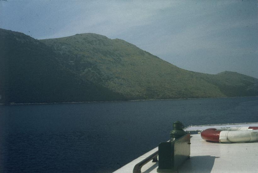 Posljedica požara; šumski požar na Dugom otoku kod Luke