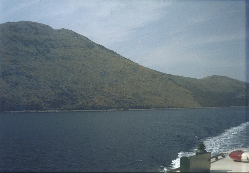 Makija uništena požaroom kod Luke