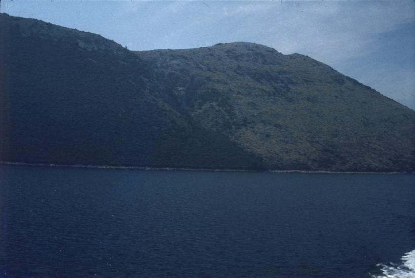 Posljedica šumskog požara